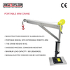 Mini Davit Crane
